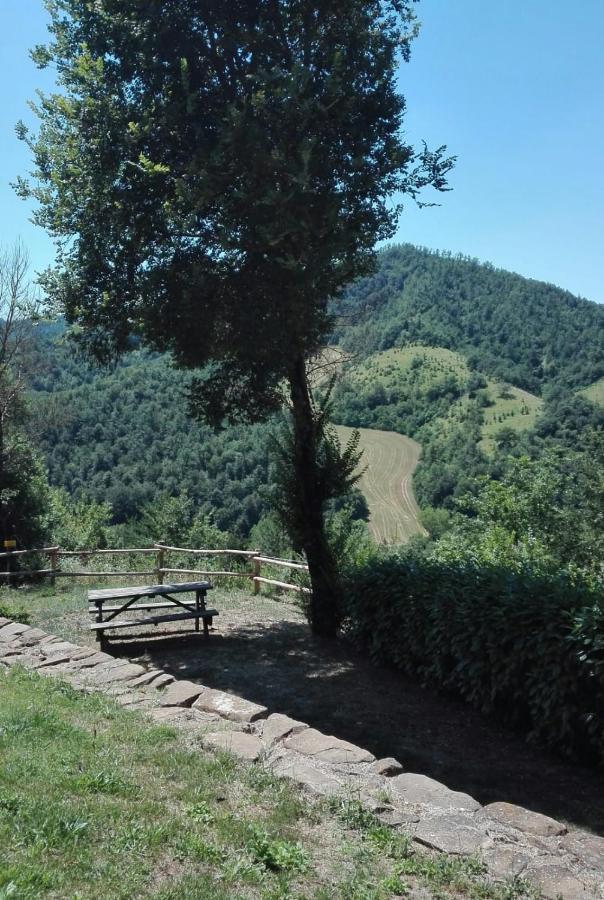 Country House Villa La Farfalla Pietralunga  Extérieur photo